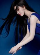 支撑参取或承办相关框架下